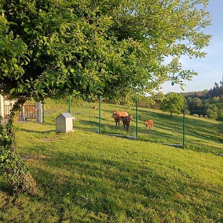 Pacio Casa Isaura De Pena Camino Primitivo Bed & Breakfast エクステリア 写真