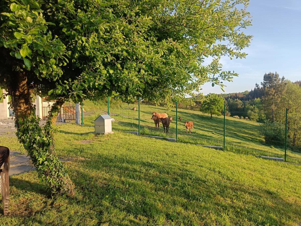 Pacio Casa Isaura De Pena Camino Primitivo Bed & Breakfast エクステリア 写真